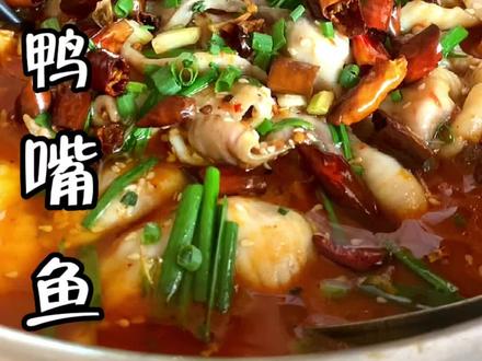 全身是宝的鸭嘴鱼,你恰过嘛?敷10次面膜,不如吃一次鸭嘴鱼,这种没用刺的鱼,肉质鲜嫩,很多人都喜欢吃,但是不会做,在家里要是学会了,大人小孩都有口福啦!!#美食趣味计划 #家常菜 #鸭嘴鱼