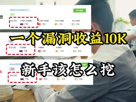 一个漏洞收益10K,新手该如何挖? #漏洞挖掘 #网络安全 #计算机 #程序员 #编程