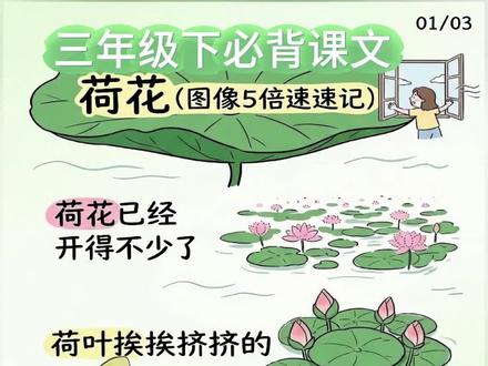 三年级下册荷花背诵,5 倍速图像记忆法,一遍就会! 家有三年级娃的家长注意啦!荷花 2-3 自然段背诵总卡壳?死记硬背费时间还容易忘,试试把文字变成画面,孩子看一遍就有印象,背得快、记得牢!#三年级下册语文 #背诵课文 #课文朗读