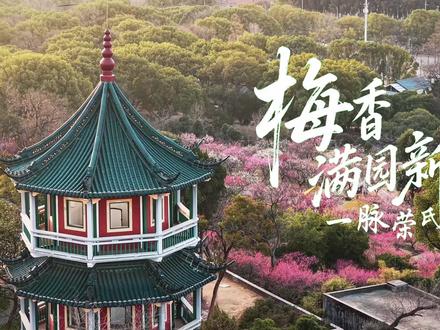 一脉荣氏情 梅香满园新 2026无锡荣氏梅园换新归来#无锡 #春天 #梅花 @荣氏梅园官方号