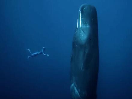 飘在水里的云☁️?#旅行 #奇幻 #科普