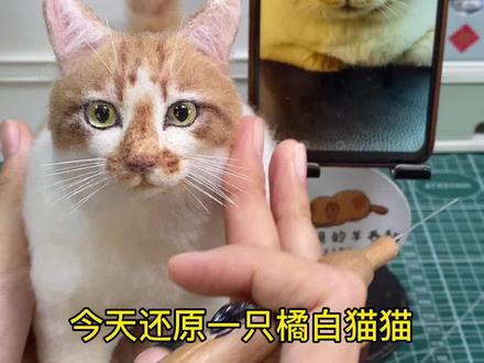 超详细的猫猫全身制作过程,制作方法很麻烦,但是我却乐在其中#羊毛毡 #手工diy #手艺人 #手工 #猫咪