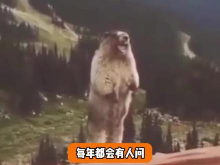 每年都有人会问:元宵节为什么不放假?
#元宵 #闹元宵 #元宵放假 #假期