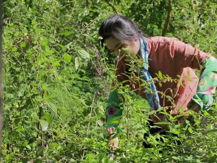 海南特色小吃—碱水馍,也叫灰水馍,软糯香甜,顺口爽滑,在外的你多久没吃了?#抖音乡村生活家 #新农人计划2022 #我的乡村生活