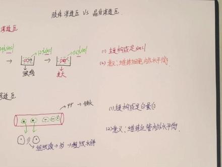 晶体渗透压和胶体渗透压的区别 晶体渗透压和胶体渗透压是血浆渗透压的两个组成部分,他们在形成物质,生理功能和数值上都存在明显区别,共同维持着人体内环境的稳定。#弘学专升本 #晶体渗透压 #胶体渗透压 #渗透压 #河北医学生专升本