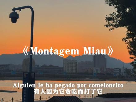 喵~喵~(>^W^<)#阿米嘎蒂朵喵喵手势舞#montagemmiau#音乐分享