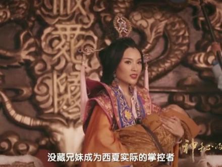 #老傅聊历史 李元昊年仅周岁的儿子登基、#历史