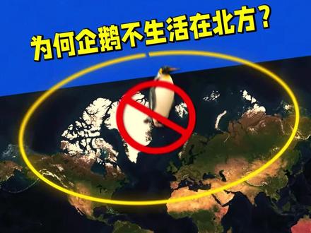 为何企鹅不能生活在北方? #地理 #科普 #奇闻奇事