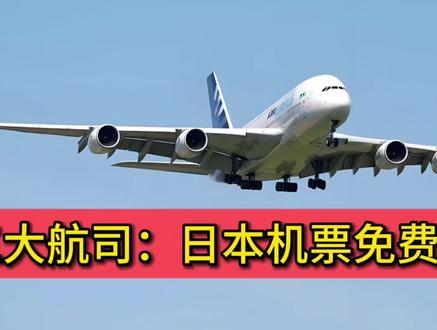 三大航司宣布日本机票免费退改,释放出什么信号?