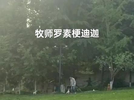 牧师学就是快,几分钟教会一只飞盘狗