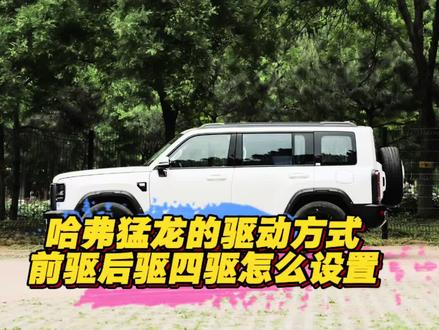 哈弗猛龙没有电有没有四驱#哈弗猛龙