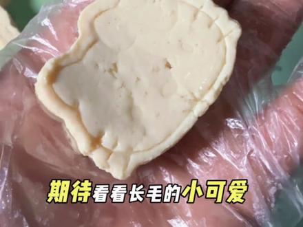 制作霉豆腐也太好玩了吧!有没有吃过的小伙伴告诉告诉我什么味道,好吃吗?我在东北也没吃过这东西啊!#霉豆腐 #在家自制毛豆腐也太好玩了 #霉豆腐教程 #豆腐 #美食