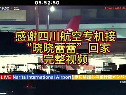 四川航空专机接“晓晓蕾蕾”回家啦!