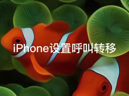苹果手机如何呼叫转移,设置,下滑找到电话,找到呼叫转移,打开选项,点击转移到什么手机号,不用了删除手机号就可以了