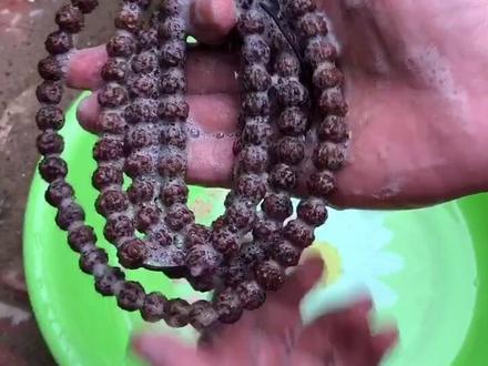 没有清理干净的金刚菩提这样做,不会反碱#金刚菩提 #小金刚菩提