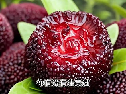 杨梅泡过什么药水,竟让5人被刑拘? #杨梅 #热点 #科普 #添加剂 #防腐剂