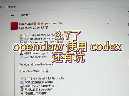 OpenClaw 使用 Codex 过坑指北#openclaw #ai #ChatGPT #小龙虾