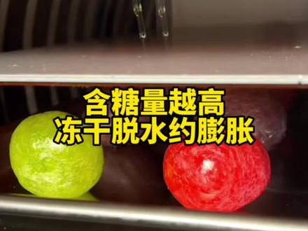 含糖量高的食物经过冻干脱水处理后膨胀的就越大 #真空冻干机 #冻干糖果 #冻干脱水