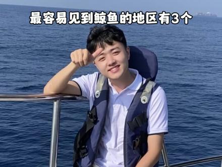 托马斯的斯里兰卡观鲸攻略!!#旅行推荐官 #斯里兰卡 #海外生活
