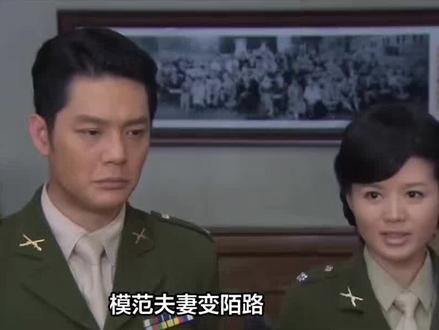 中国当代陈世美傅程鹏与程愫离婚!