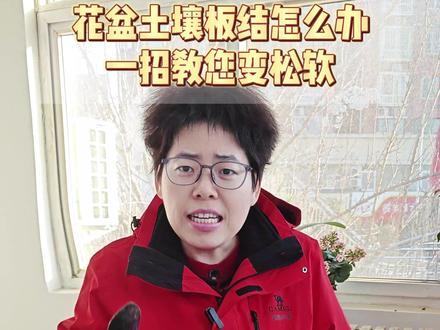 花盆土壤板结怎么办 一招教您变松软 #养花小知识#种植小技巧 #花卉绿植 #花卉养护知识 #和抖仔花式同框