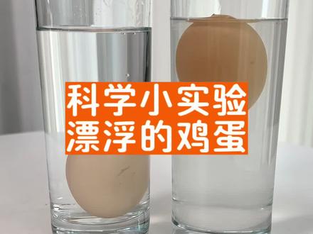科学小实验:两个鸡蛋放水里,一沉一浮,这是什么原理呢?#科学小实验 #在家做实验 #亲子实验 #在家就能做的小实验推荐 #趣味实验