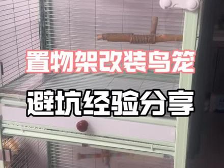 #置物架改造鸟笼 #手搓鸟笼 按照网上教程制作的避坑经验分享,视频有点长,如果你也想自己做个大笼子,耐心看完,一点能帮你避免很多暗坑,少花几百块冤枉钱😂
