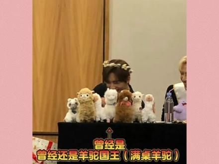 黄铉辰晚上从床上坐起来:难道还有人不知道我真的是貂吗!?#黄铉辰