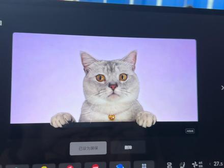 宝子们,理想8.2🚗机萌宠猫咪动态屏保教程来啦~快用起来吧#理想汽车 #理想8.2#分享一张你爱车的照片 #上热搜