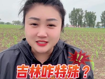吉林咋特殊?一垧=10亩
#一晌地是多少亩 #80后种地人
#田间地头的新农人 #三农