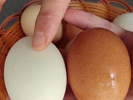 激素鸡蛋危害大,教你一眼识别激素鸡蛋,以后再也买不错了(1)