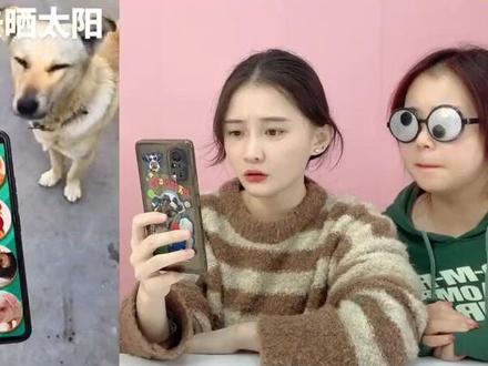 神奇动物翻译器!可以把人语翻译成“狗语',狗狗听完后惊呆了?