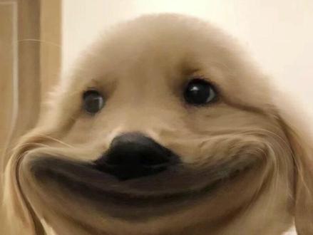 白银场内跌停,场外却上涨,什么原因? #避雷 #白银LOF #套利 #白银期货 #溢价