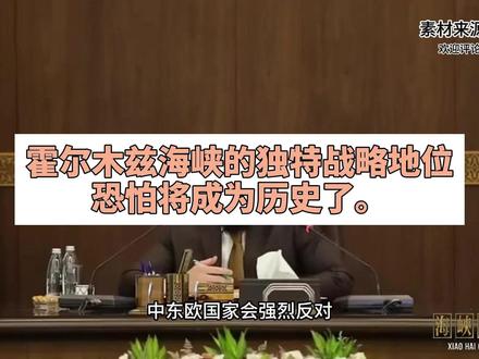 霍尔木兹海峡的独特战略地位恐怕将成为历史了 3月30日,叙利亚过渡政府总统朱拉尼直接对欧洲喊话,把话说得很明白:要是伊朗敢封锁霍尔木兹海峡或者红海,不让石油过,叙利亚就能顶上。#霍尔木兹海峡 #海峡时区 #叙利亚