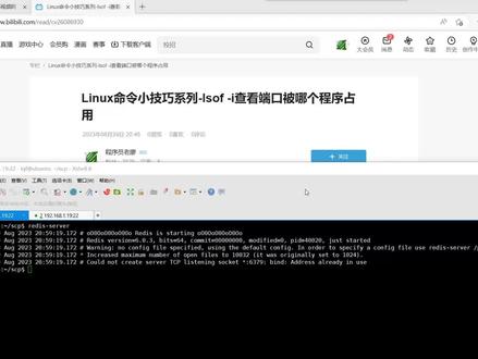 Linux开发常用命令小技巧之lsof -i查看端口被哪个程序占用