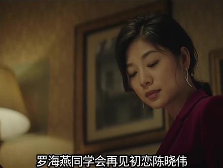 上海女子图鉴大结局,罗海燕事业爱情双丰收#罗海燕#好剧推荐#罗海燕和张天皓 #罗海燕和陈晓伟 #上海女子图鉴