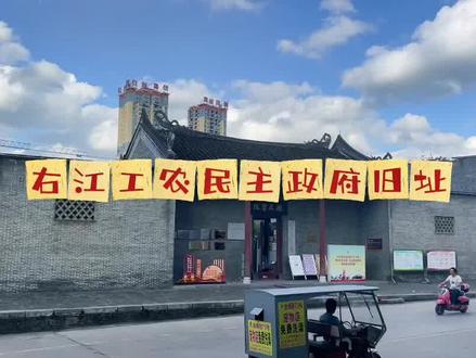 广西壮族自治区百色市田东县 全国重点文物保护单位