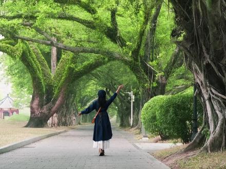 旅游遇到大树怎么拍?三种拍摄技巧包出片的,溢出画面的生命力 大树怎么拍既有生命力,又像壁纸一样好看?存三个万能拍照技巧,拍出溢出画面的生命力
#富士 #蚂蚁摄影app #摄影 #相机 #拍照