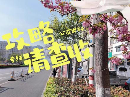 春光明媚,“趣”坐公交 | 春日踏青指南请查收#亳州 #春游#亳州公交