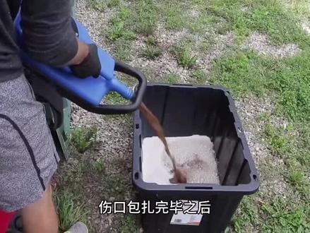 #小说 #文荒推荐 #小说推荐 #小说推文 #天命神算 天命神算第20章搬家