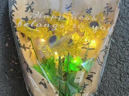 向阳而生
向日葵花束教程