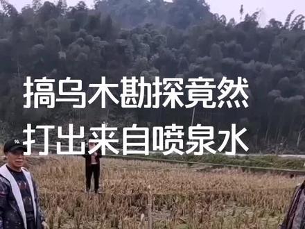 大自然的神奇#金丝楠木
