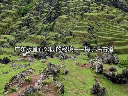 广东版墨石公园 今天我们走的是被称作广东版墨石公园的秘境——梅子坪古道。
这里不只是一条徒步路线,更是亿万年地质史诗 + 千年岭南商贸史的活化石。
一步,是石头的年轮;
一步,是古人的脚印。
跟着我,一起读懂这片石林与古道的前世今生。
徒步环线约 8–9公里,爬升约 300米
时长4–5小时(含拍照)
古石板路 + 山野小径,平缓好走、无陡坡
一路你会穿越三重景观:
墨色石林区随手拍都是大片
没有拥挤人潮,只有风声、鸟鸣、石头的沉默。
踩的每一步,都同时踩着:
亿年地质、千年古道、百年善意。
导航:阳山县江英镇上坪村党群服务中心
#登上山顶看美景不一样的感觉 #户外地质活动 #尖峰石阵 #原生地质景观#出行实况分享计划 @抖音小助手