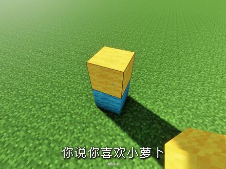 你说你喜欢小萝卜。 #我的世界 #MC #我的世界为你而建 #你说你喜欢于是我 #海底小纵队