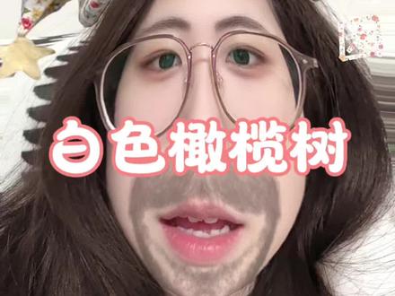 白色橄榄树快去看啊#白色橄榄树 #白色橄榄树李瓒宋冉 #阿瓒冉冉