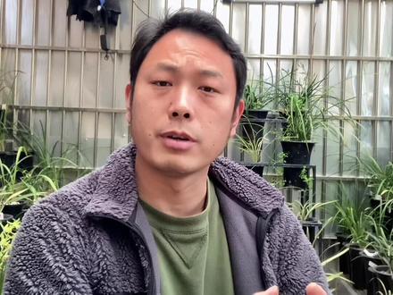 没腐熟的松树皮到底能不能养兰花?答案颠覆你的认知#兰花种植 #传播兰花知识 #兰花小知识 #兰花植料 #兰花管理 #春兰