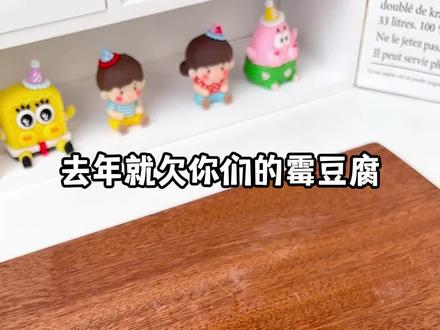 去年答应你们的霉豆腐今年给你们安排上了~#自制霉豆腐 #霉豆腐 #豆腐的神仙吃法 #霉豆腐教程