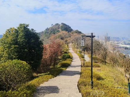 钱塘江古堤—长山游步道 萧山新街长山游步道,是个很适合带老人孩子来玩的地方,爬山难度极低,一路沿着石板路,穿过长长的山脊,全程大约4-5公里,累计爬升100米左右,环境视野开阔,非常的轻松愉快。
★长山历史
1.钱塘江古堤坝。古时,长山之北是钱塘江故道,此处的钱塘江如天堑般一望无涯长山就处在海边。
沿着山脊向北眺望,如今遍布工厂和房屋,深刻体会什么是“沧海桑田”。
2.越王种荏。荏是一种草本植物,生命力顽强,对土壤要求不高,可食用,还有一定的药疗作用。春秋时,越王勾践号召百姓在沿线滩涂种荏,让百姓能够果腹生存,繁衍后代,于是荏山周围人群逐游聚集,故长山又称荏山。
3.长山碉堡群。建于1937年,萧山军民在荏山上修建该碉堡抵抗日军。1940年1月,日军侵占了荏山碉堡。碉堡呈长方形,顶已毁,残高3.2米,内设有枪眼,既可瞭望,又可射击。碉堡后有一通道,连接弹药库及住房。碉堡东侧有一军事壕沟,可与长山头碉堡相连。
★如何去:
线路1:地铁5号线坐到姑娘桥站,A口出来,再导航福庆寺,步行20分钟左右,到达长山东入口。自驾可以直接导航福庆寺,有免费停车位,不过位置不多。“长山东入口(塘新线)——福庆寺——长山瞭望台——荏山碉堡——西北入口。
线路2:从杭州地铁“双桥”地铁站【地铁5号线】,步行到“萧山区育英实验学校东南门”,按照,西北入口——荏山碉堡——长山瞭望台——福庆寺——长山东入口(塘新线),路线游玩,这条线路爬山比线路1略陡一些。
线路3:自驾车的朋友推荐走此路线,导航至恒达钢构,从恒达钢构东侧(图中北1口)上山口进入,此入口刚好位于长山中段,可以自由选择往长山东面和西面路线。
#好山好水好风景 #萧山周边游玩景点推荐 #懒人爬山好去处推荐 #山水间的诗意画卷 #水墨山水