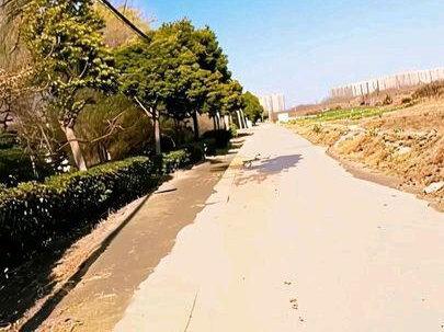 徐州“小桂林”线路游玩攻略,徐州市区的最后一片净土。 #大自然 #小桂林 #九里山 #徐州