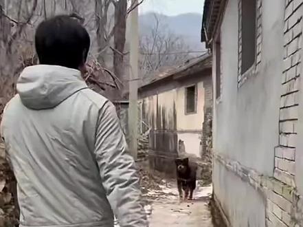 胖夫夫:姐姐……你的喜欢让狗有点窒息了🤕#骏良 #胖宝宝 #神奇动物在抖音